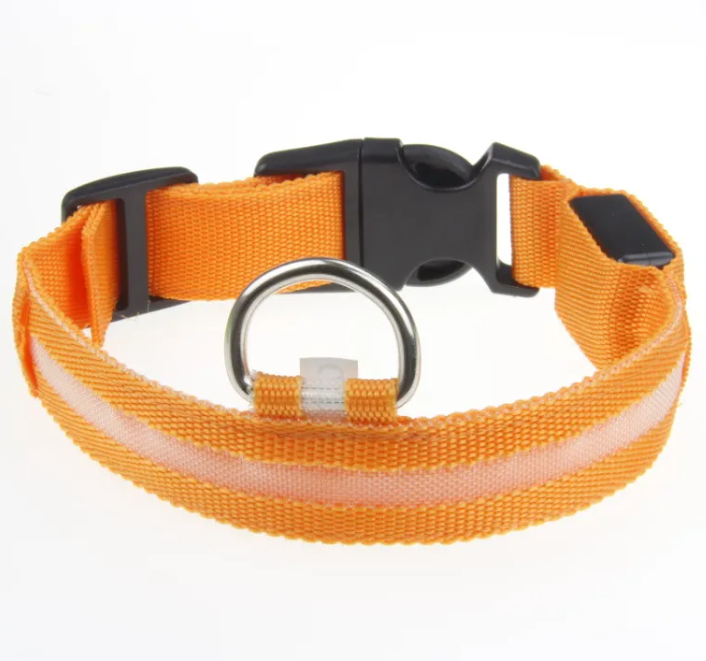 Rechargeable LED Safety Dog Collar