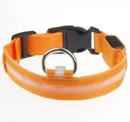 Rechargeable LED Safety Dog Collar