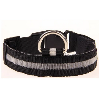 Rechargeable LED Safety Dog Collar