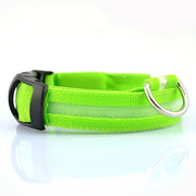 Premium Reflective LED Dog Collar