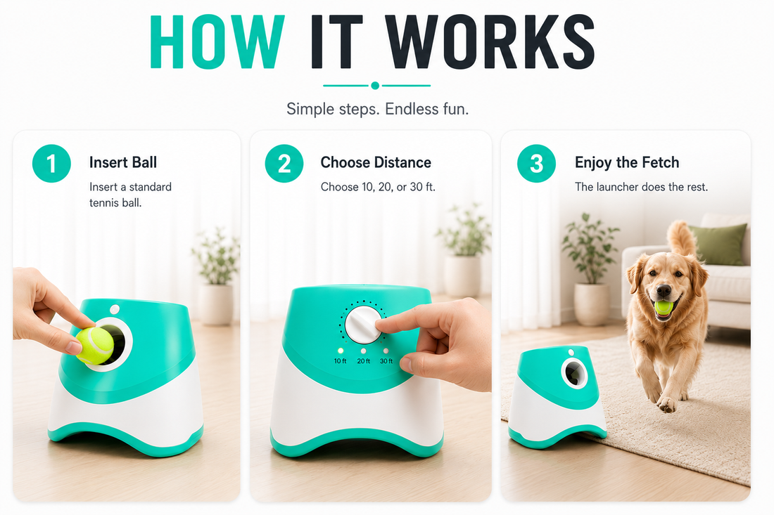 Premium Automatic Tennis Ball Launcher
