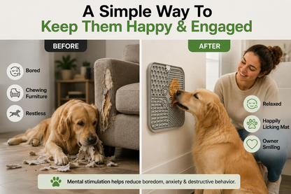 Premium Enrichment Lick Mat