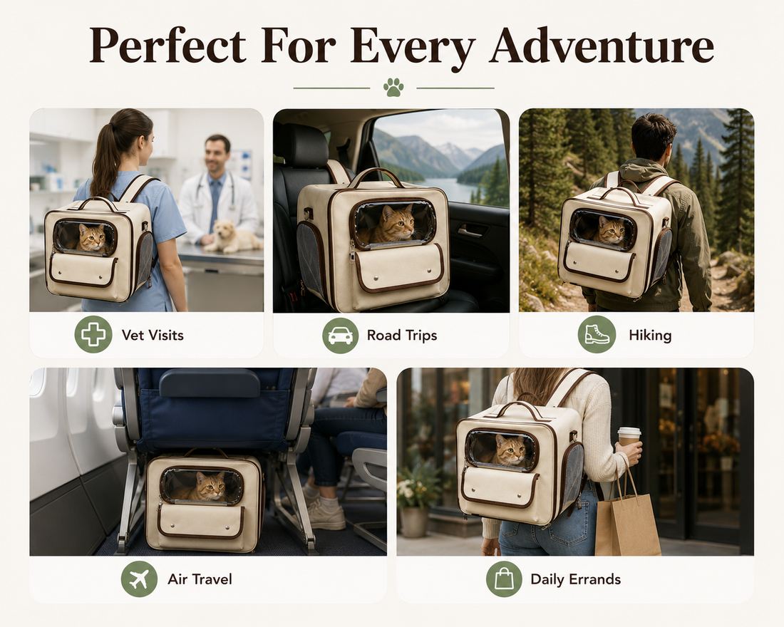Premium Pet Travel Backpack