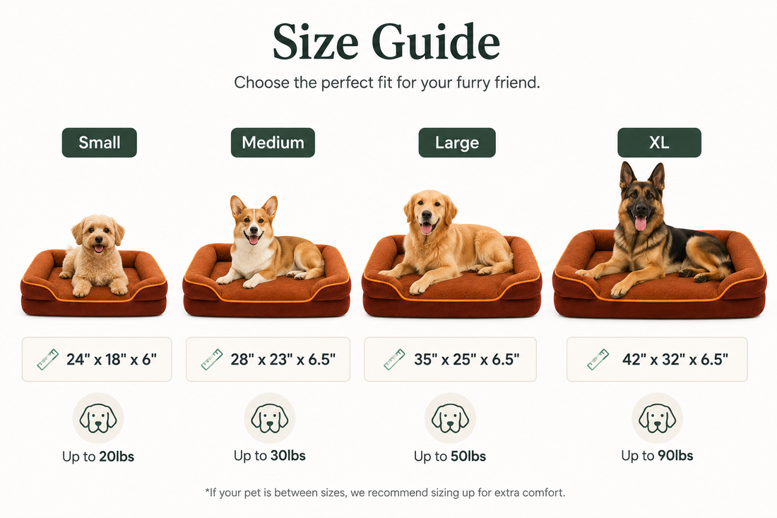 Premium Orthopaedic Memory Foam Pet Bed