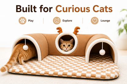 Premium Cat Tunnel Retreat