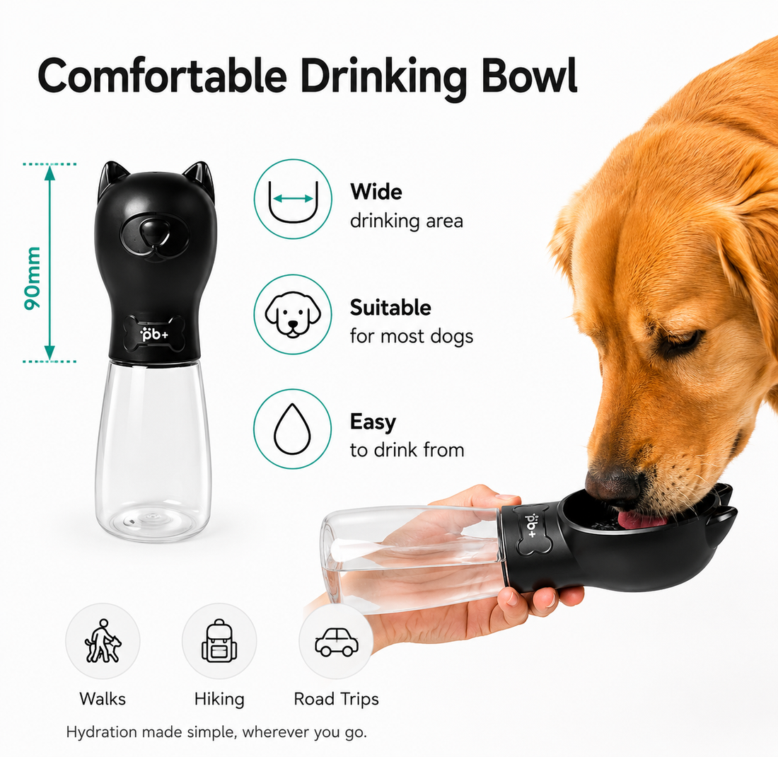 Premium Portable Dog Water Bottle