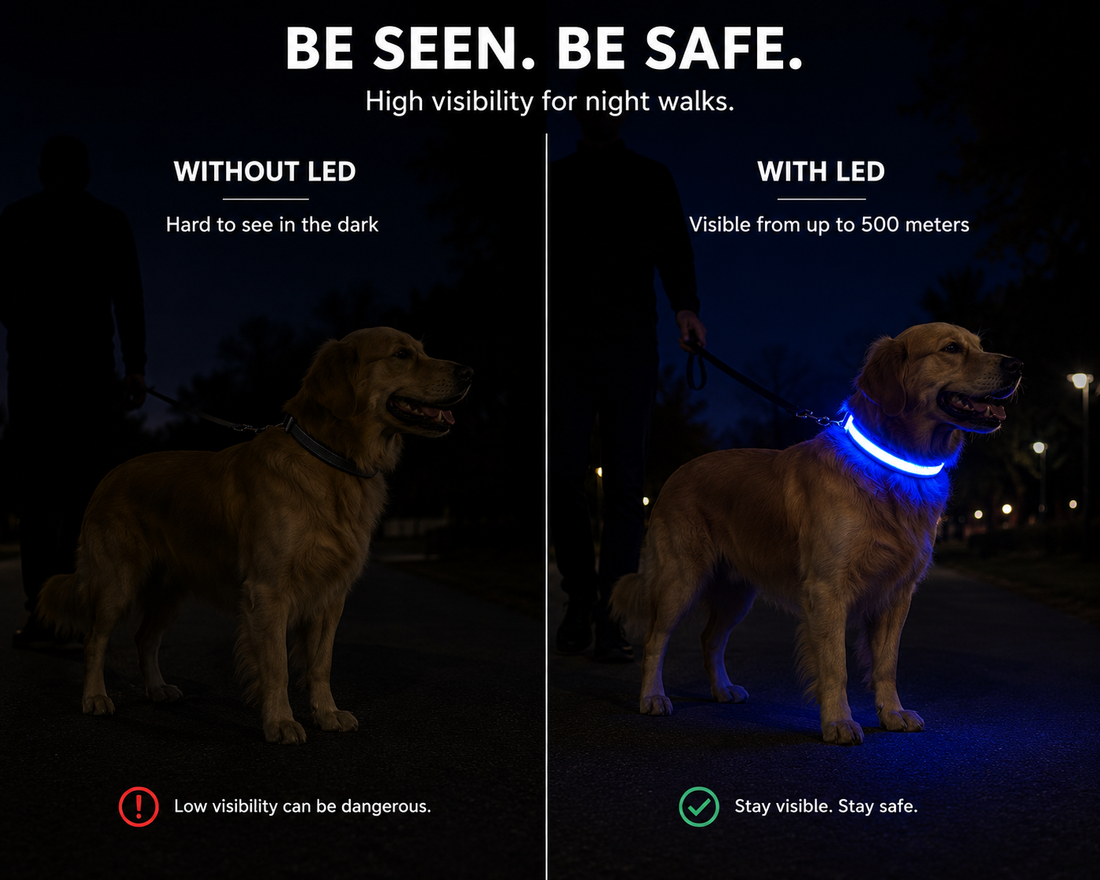 Premium Reflective LED Dog Collar