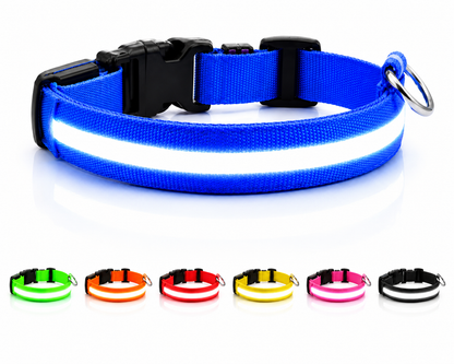 Rechargeable LED Safety Dog Collar