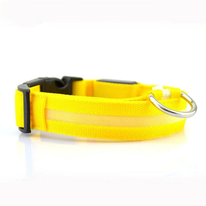 Rechargeable LED Safety Dog Collar